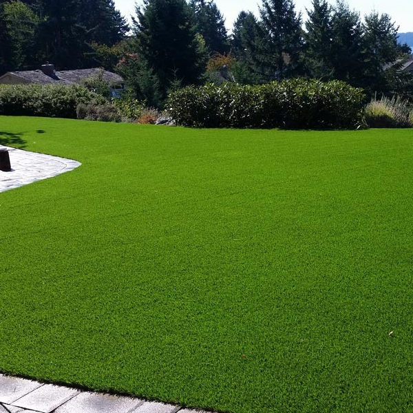 artificialgrasscarpetcollection